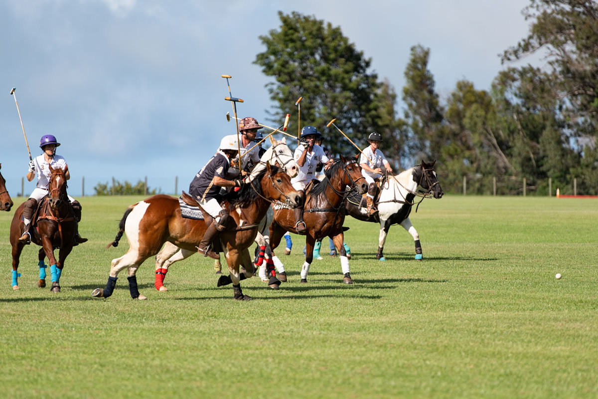 Maui Polo Club Cowboy polo in the country